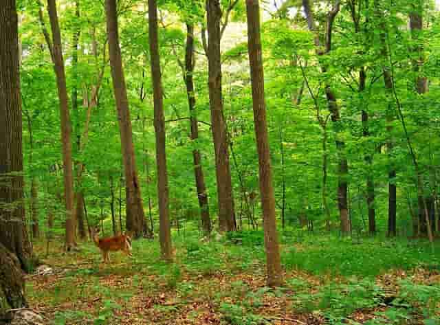 热火凑不齐8人出赛大名单 今天对阵绿军被推迟