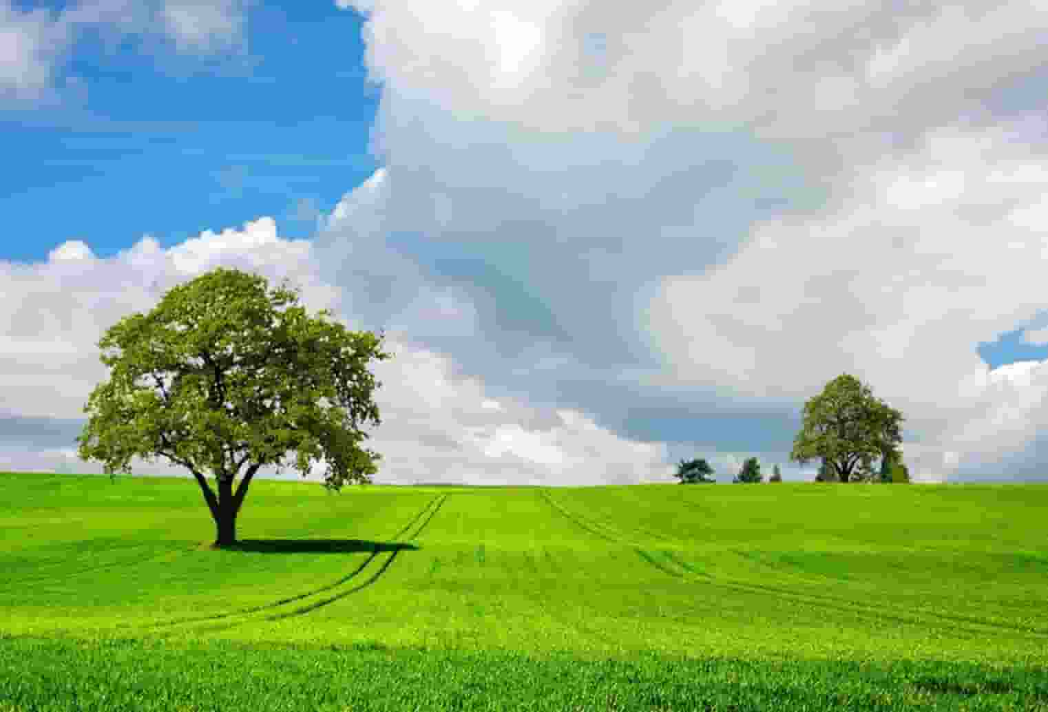 两个儿子的女儿叫什么