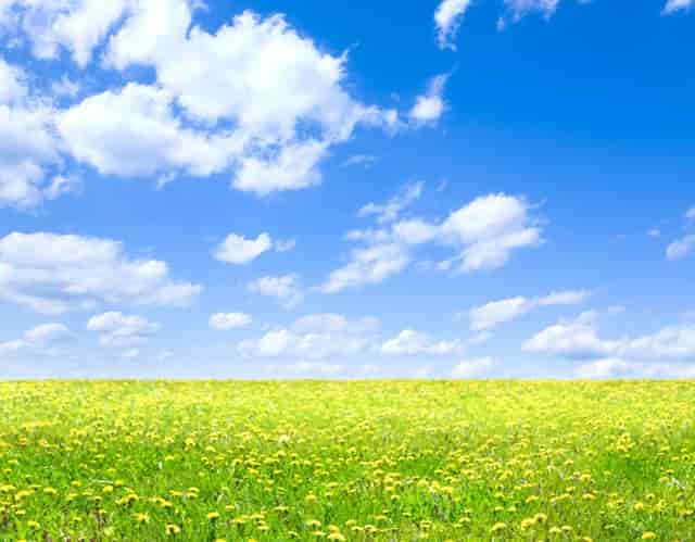 专科学校和本科学校谁好