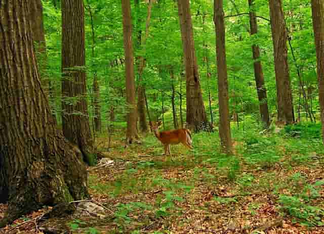 音乐剧《乳香飘（暂定名）》研讨会在内蒙古文联召开