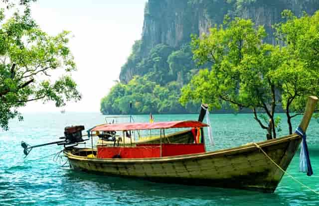 袖虎病狗攻略：犬心丝虫有多可怕？