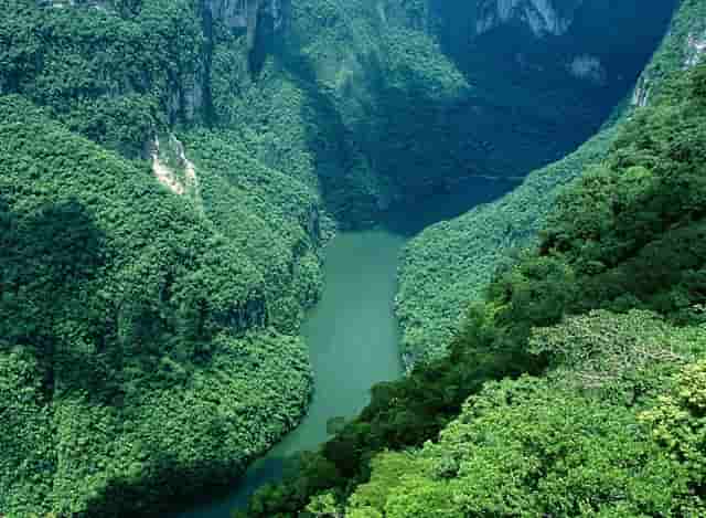 甄嬛传甄嬛对胧月好吗