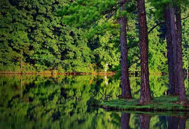 如何看待反传销网站的寻人启事