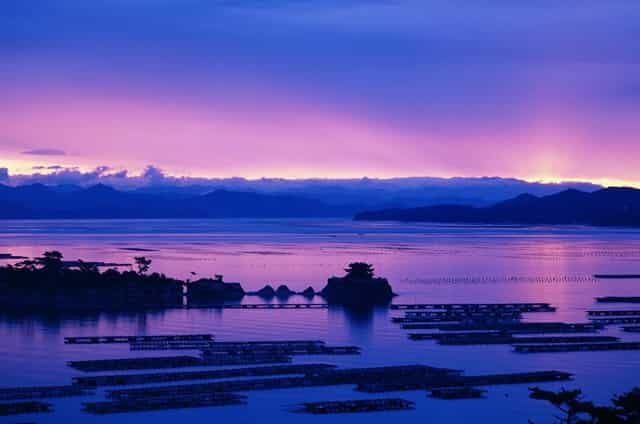 职业技术学院和大学有什么不同