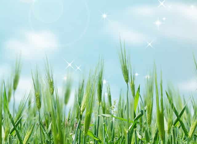 袖虎养猫疑问：它居然流红色的泪？！