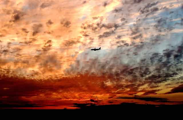 打了疫苗怎么看不到了