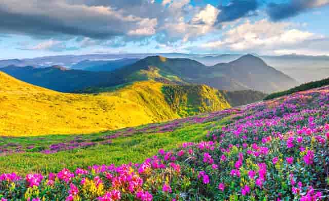 自动驾驶汽车项目投资