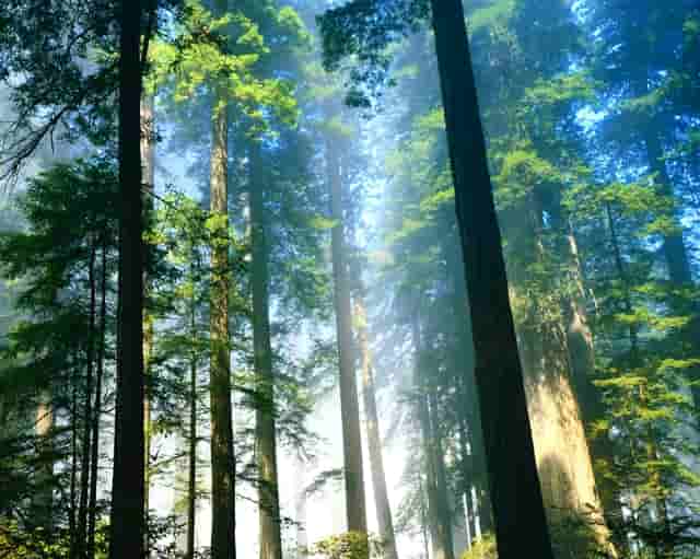 “存在与虚无” ——津子围小说作品中的精神重构策略