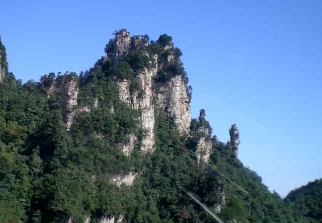 袖虎病猫攻略：猫咪得了角膜炎怎么办