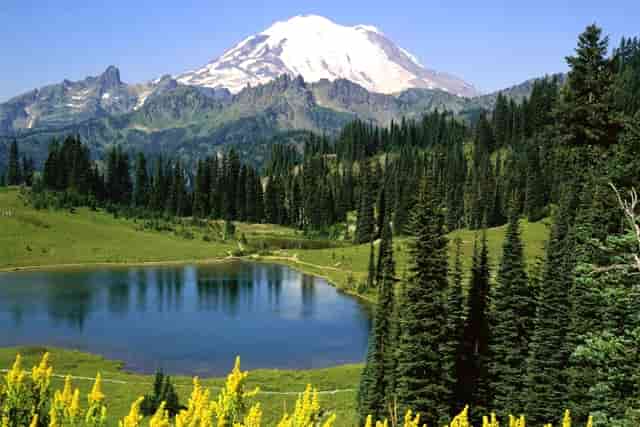 周杰伦侯佩岑，被训练42年的乖乖女和叛逆顶流的越轨人生…