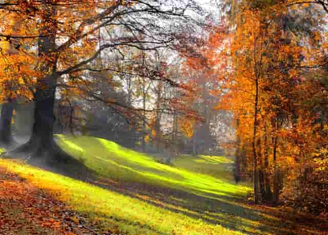 迈科期货亏损骗局？迈科教您如何截断亏损让利润奔跑！