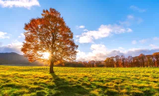 充电头插在墙上插不紧