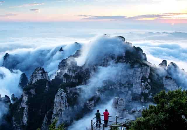 蔡嘉珍獲得註冊理財規劃師專業稱銜，秉持職業操守與執業準則，開啟財務規劃新征程