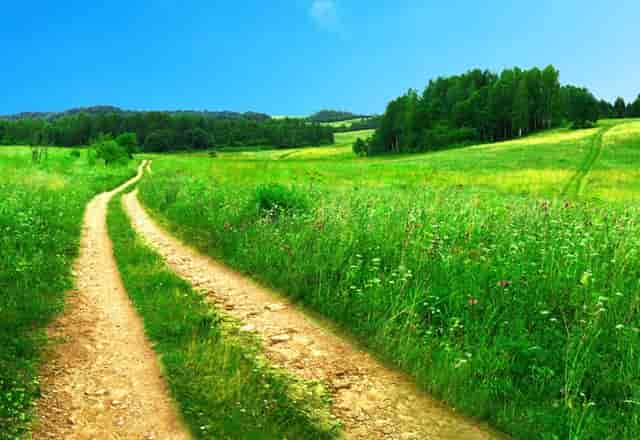 袖虎宠物拥有科学的繁育体系！值得加盟！