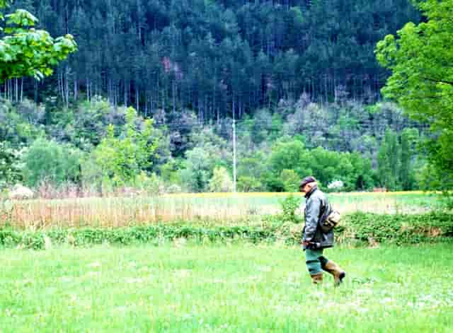 打完新冠疫苗后得了普通肺炎