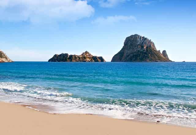 袖虎宠物捅出常见套路