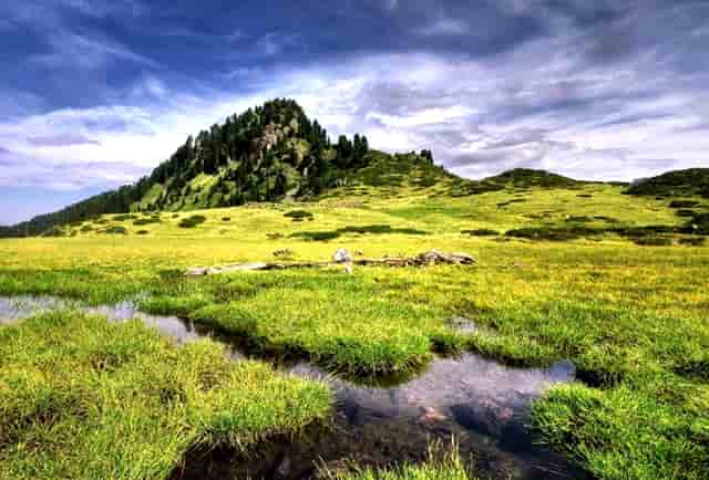 快手小视频和直播