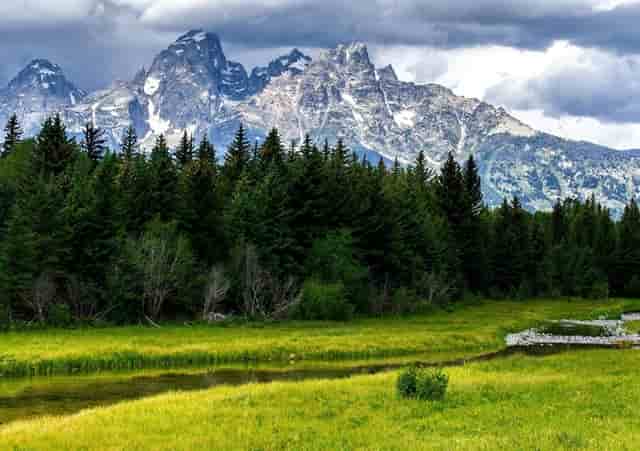 袖虎经验，让猫快速信任你！