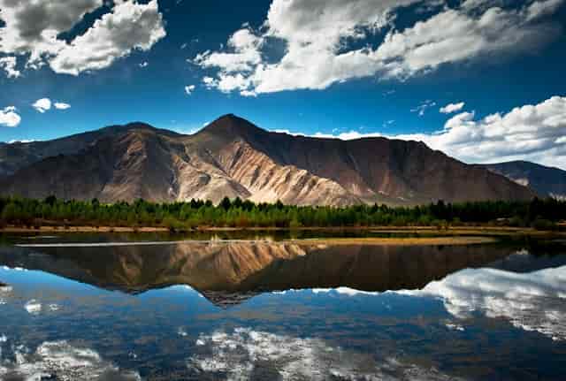 孩子爱吃的鸡肉丸子，详细步骤出来了，Q弹好吃，做法简单还省事