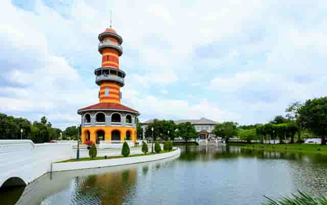 袖虎病猫攻略：对猫过敏怎么办