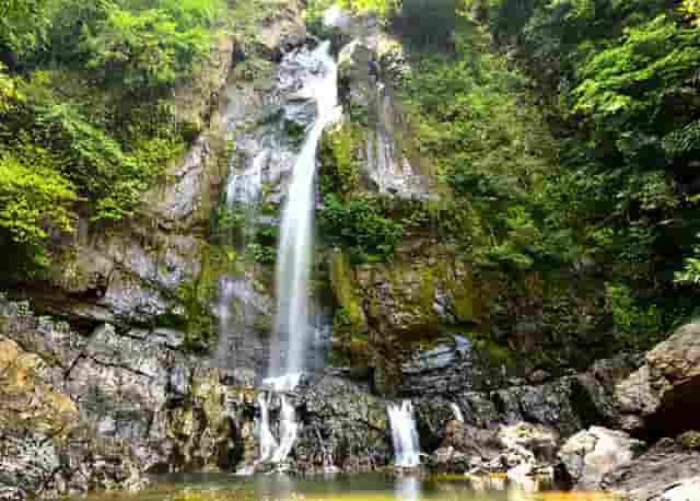 东京奥运会女排中国美国视频(2021年东京奥运会美国女排名单)