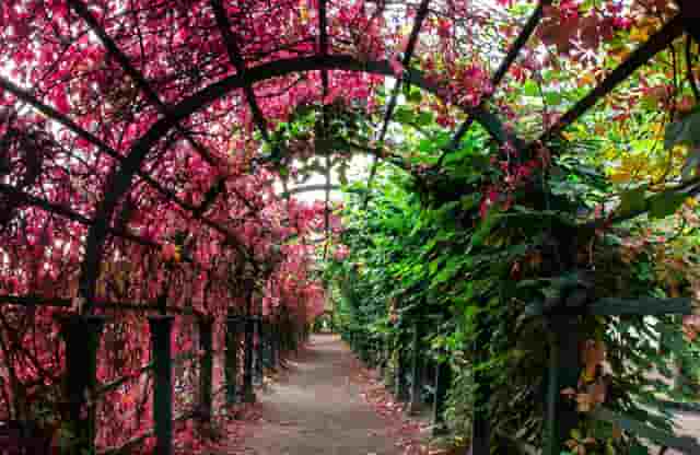 比亚迪上半年新车销量首进全球前十