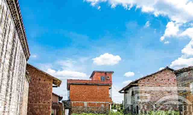 蔡嘉珍榮獲註冊理財規劃師資格