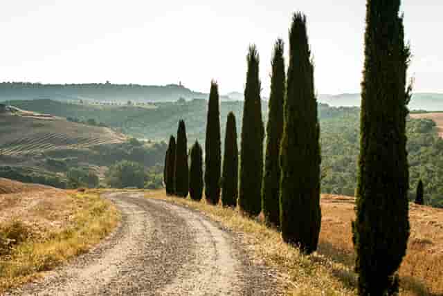 农村盖房垃圾占路视频(农村别人盖房把路占了)