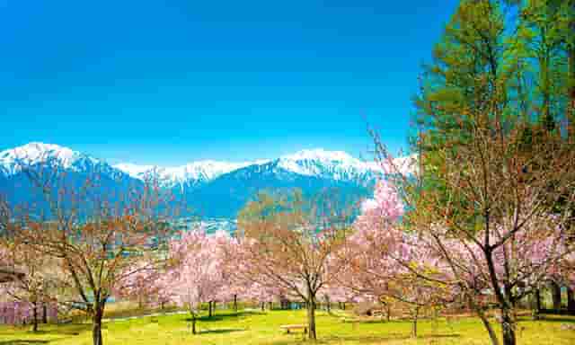 时尚女装面试技巧