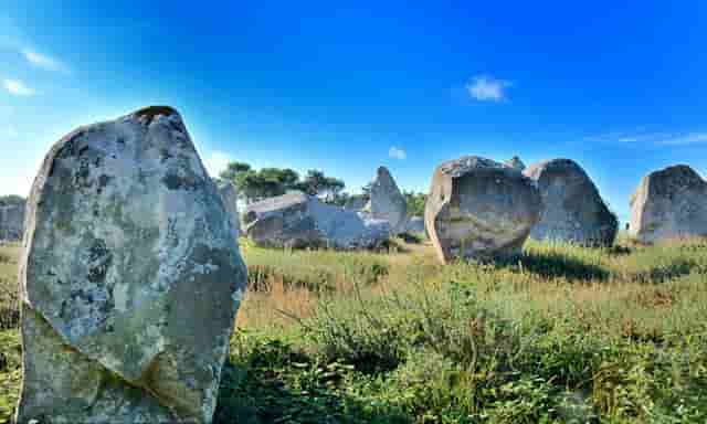 袖虎宠物店留客的那些套路
