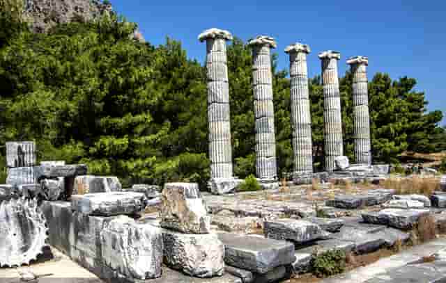 袖虎宠物商业调查：开宠物店如何采购活体资源