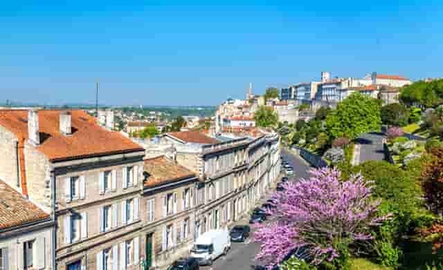 开宠物店需要多少钱？袖虎宠物低成本高收入！