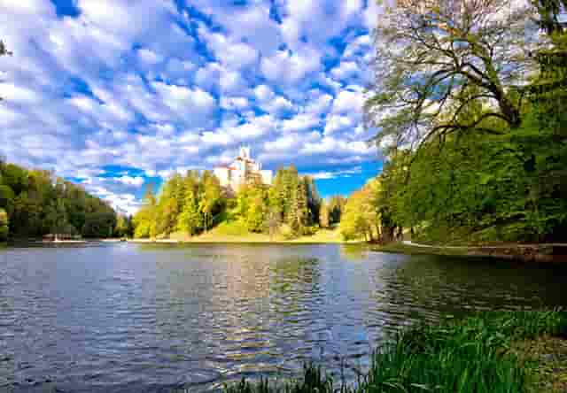 时尚搭配技巧分享(五分裤时尚搭配分享)