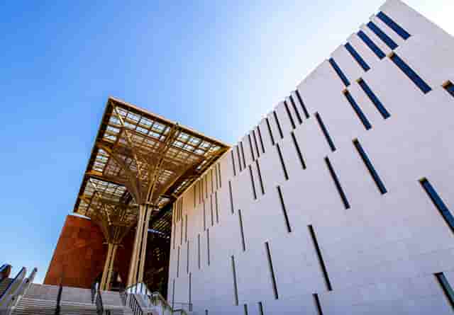 袖虎案例：猫鼻支还会容易死猫吗？