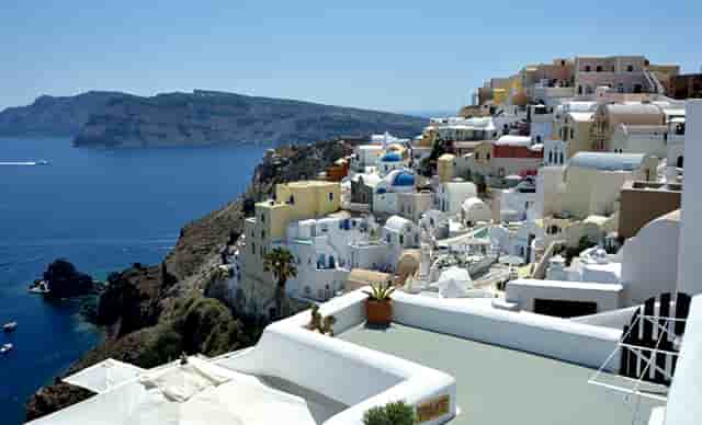 袖虎病猫攻略：猫感冒的原因和预防