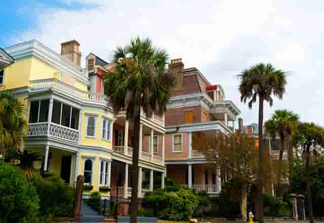 袖虎病猫攻略：加菲猫为什么一直流眼泪