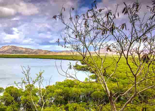 机构关注的网站(机构类网站)