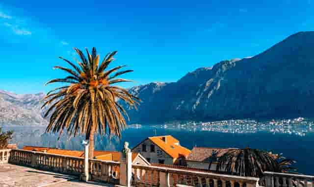 医院挂号缴费方法(医院缴费了,第二天抽血需要挂号吗)