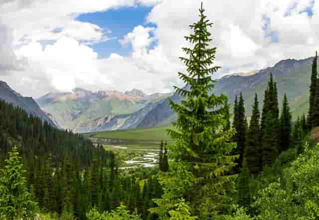 女士时尚搭配技巧(时尚女士服装搭配图片)