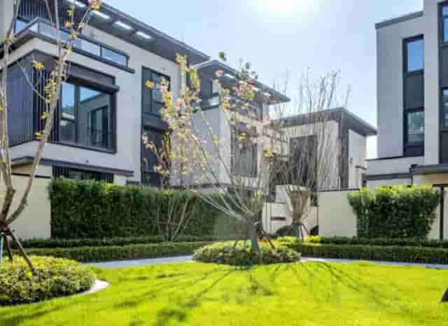 张鑫国家滑板队(2020国家滑板队名单)