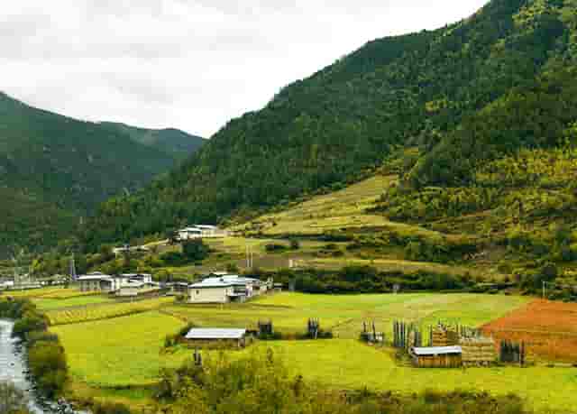 生活时尚小技巧