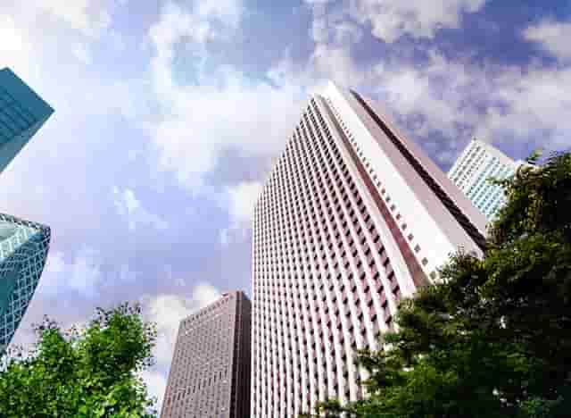 袖虎病猫攻略：猫咪肠梗阻的症状