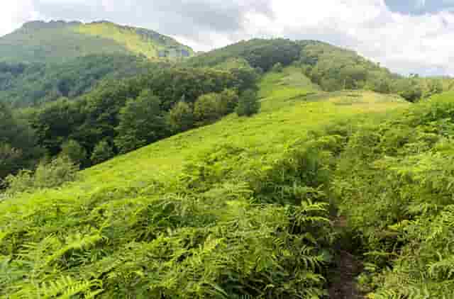 时尚护肤技巧(时尚张芙护肤老师)