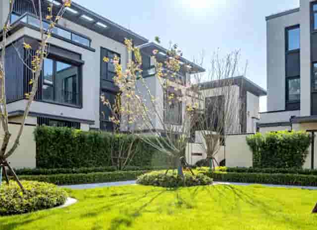 时尚拍照技巧(拍照时尚的软件有哪些)